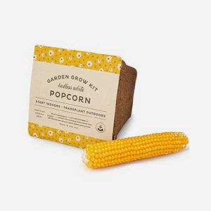 Cinema Popcorn